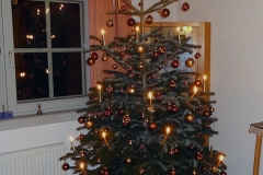 Erster Christbaum in Berndorf 2013